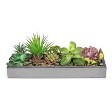 Load image into Gallery viewer, Artificial Succulent Plant