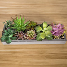 Load image into Gallery viewer, Artificial Succulent Plant