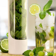 Load image into Gallery viewer, Herb Saver
