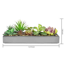 Load image into Gallery viewer, Artificial Succulent Plant
